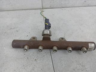 топливная рампа Renault Duster 1 поколение 2012, 9307Z517A, 8200669695