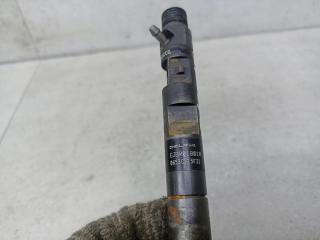 форсунка Renault Kangoo 1 поколение [рестайлинг] 2008, 1.5 л., 8200049873, 8200365186