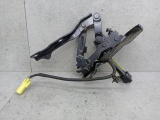 петля капота правая Kia Sorento 3 поколение [рестайлинг] (2017 - 2020), 79120C5000, 79160C5000