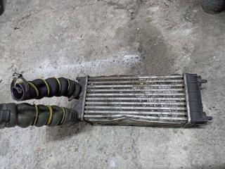 интеркулер Peugeot Partner 1 поколение [рестайлинг] 2009, 9684212480