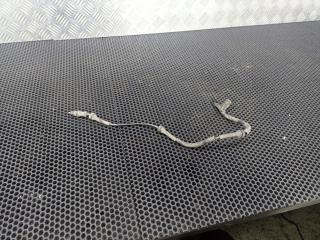 проводка датчика ABS Renault Master 2 поколение [рестайлинг] 2009, 8200274801