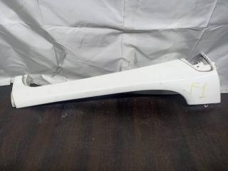 молдинг (накладка кузовная) MAN TGX 1 поколение 2013, 81624100231