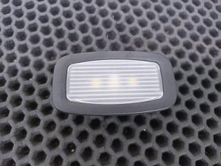 фонарь салона (плафон) Mercedes-Benz S-Класс W222 [рестайлинг] 2018, A0009066204