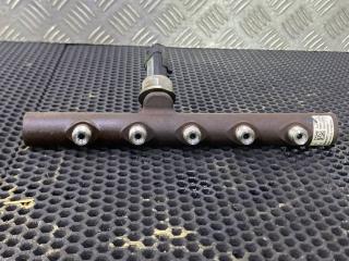 топливная рампа Renault Megane 3 поколение 2009, R9144Z221A