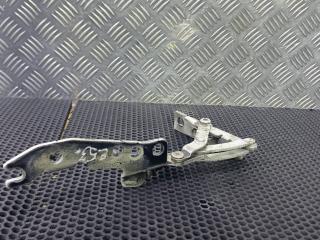 петля капота левая BMW X5 E53 [рестайлинг] 2003, 41618402173