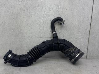 патрубок (трубопровод, шланг) Renault Kangoo 1 поколение [рестайлинг] 2006, 8200500383