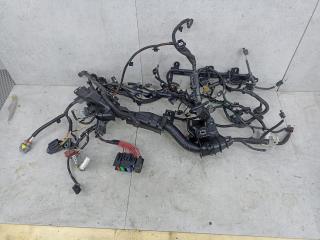 проводка двигателя Renault Arkana 1 поколение 2022, 240115595S