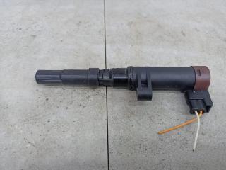 катушка зажигания Renault Duster 1 поколение 2012, 7700875000