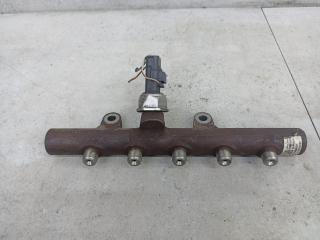 топливная рампа Renault Duster 1 поколение 2012, 9307Z517A, 8200669695