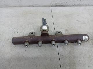 топливная рампа Renault Duster 1 поколение 2012, 9307Z517A, 8200669695