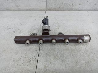 топливная рампа Renault Duster 1 поколение 2012, 9307Z517A, 8200669695