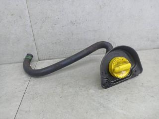 маслозаливная горловина Renault Master 3 поколение 2014, 8200795333