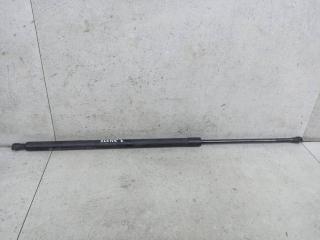 амортизатор крышки багажника (3-5 двери) Renault Scenic 3 поколение 2010, 904517337R