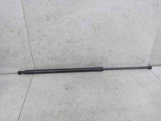 амортизатор крышки багажника (3-5 двери) Renault Scenic 3 поколение 2010, 904517337R