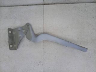 петля капота правая Nissan Qashqai J10 [рестайлинг], ES64