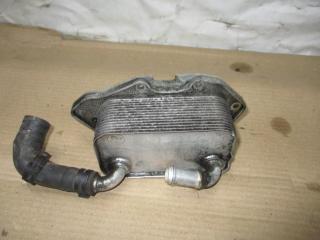 радиатор масляный Audi A6 4F/C6 2006, 3.2 л., FSI, AUK, бензин, АКПП, зеленый, седан, полный привод, 06E117021G