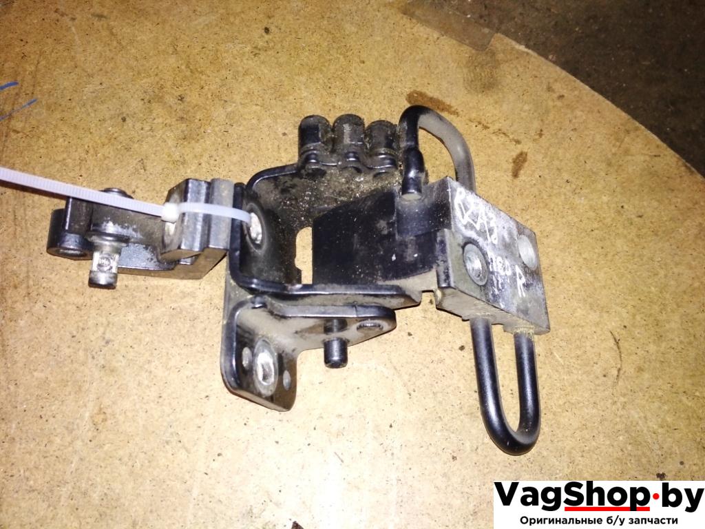 петля двери Audi A4 B7 2007, 3.0 л., TDi, ASB, дизель, МКПП, серый, универсал, полный привод - фото №1