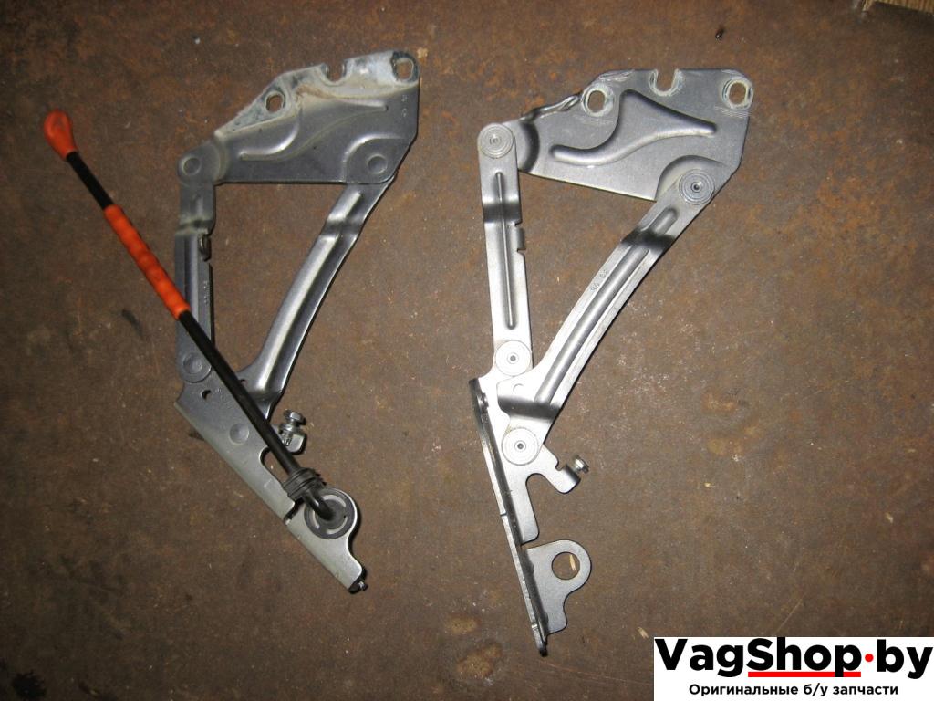 петля капота Volkswagen Golf Plus 1 поколение 2006, 1.9 л., TDi, BLS, дизель, МКПП, серый, хетчбэк 5 дв., передний привод, 5M0823301, 5M0823302 - фото №1