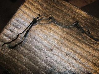 трубка кондиционера Audi A6 4F/C6 2007, 2.8 л., FSI, BDX, бензин, АКПП, черный, универсал, передний привод