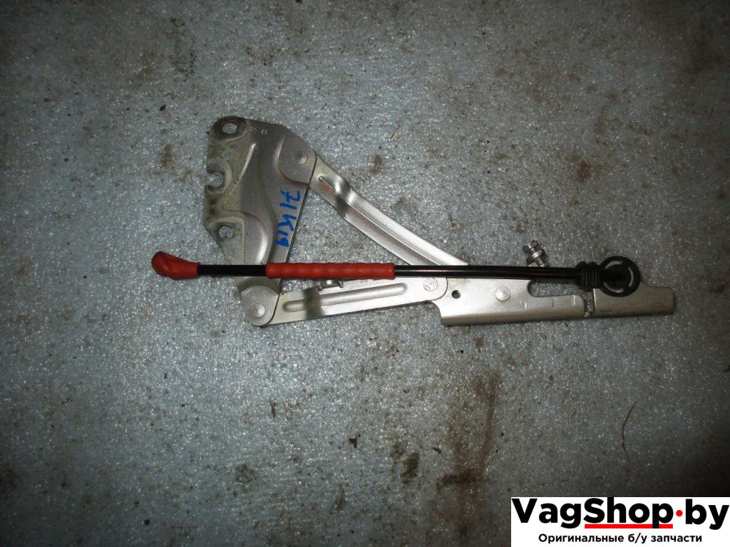 петля капота Volkswagen Golf Plus 1 поколение 2007, 1.9 л., TDi, BLS, дизель, МКПП, серебро, хетчбэк 5 дв., передний привод, 5M0823301 - фото №1