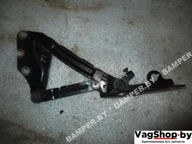 петля капота Volkswagen Golf Plus 1 поколение 2007, 1.9 л., TDi, BLS, дизель, МКПП, сине-зеленый хамелеон, хетчбэк 5 дв., передний привод, 5M0823302 - фото №1