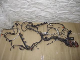 проводка двигателя Audi A5 8T [рестайлинг] 2013, 4.2 л., FSI, бензин