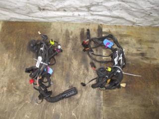 дверная проводка Audi A6 C7/4G [рестайлинг] 2017, 2.0 л., TDi, DDD, дизель, АКПП, красный, седан, передний привод, 4G5973036M, 4G5973035BQ