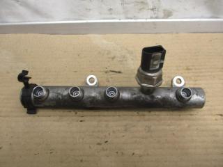 топливная рампа Volkswagen Touareg 1 поколение [рестайлинг] 2008, 3.0 л., TDi, BKS, дизель, АКПП, черный, внедорожник 5 дв., полный привод, 059130758E, 059130089AB