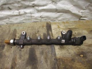 топливная рампа Volkswagen Caddy 3 поколение [рестайлинг] 2011, 2.0 л., TDi, дизель, МКПП, минивэн, 03L130089M, 05713076, 4H03L906051