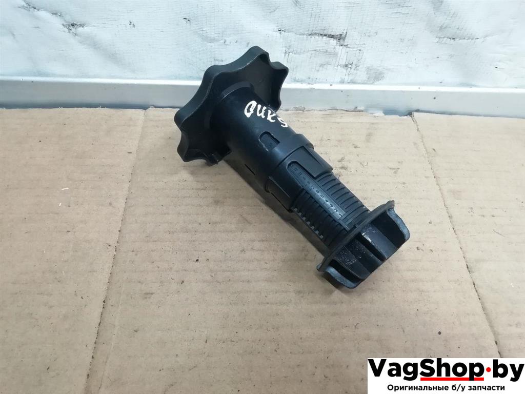 крепление запаски Audi A6 Allroad Quattro C6/4F 2007, 3.2 л., FSI, AUK, бензин, МКПП, синий, универсал, полный привод, 8E9803899A - фото №1