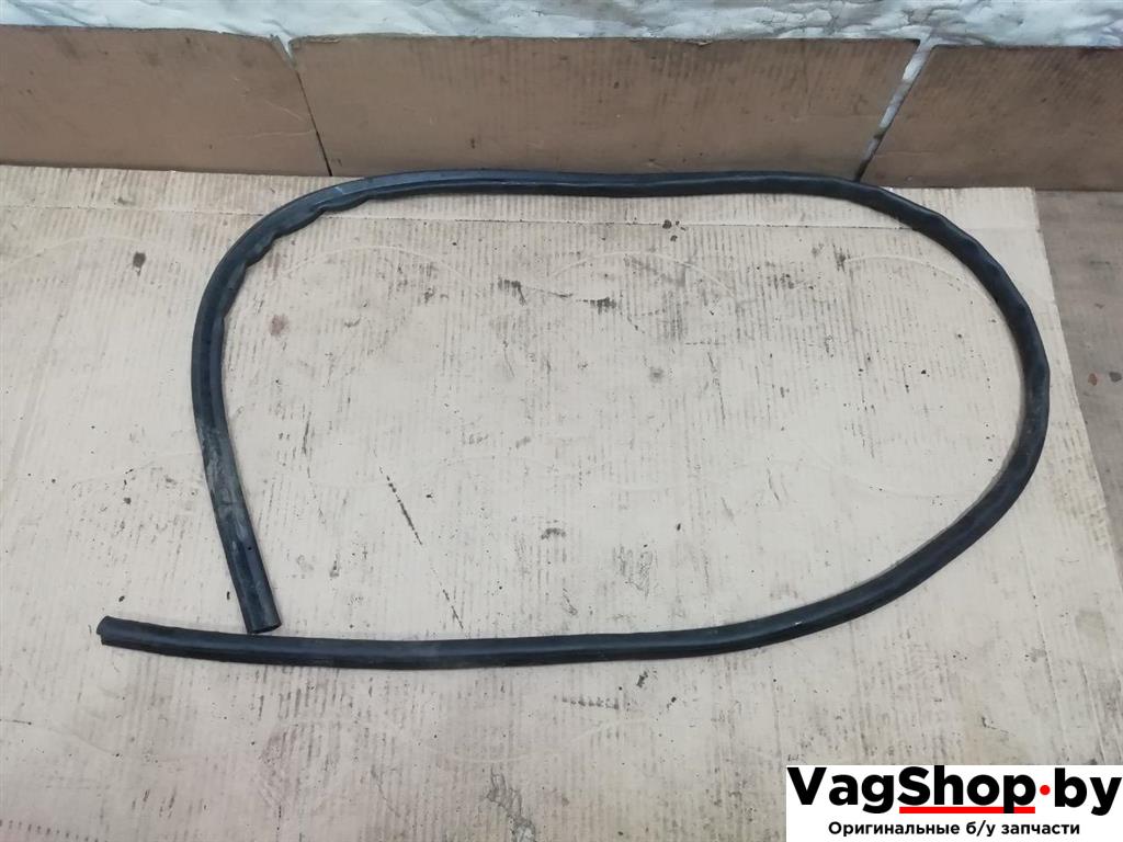 уплотнитель подкапотного пространства Audi Q7 4L 2006, 3.0 л., TDi, BUG, дизель, АКПП, серебро, внедорожник 5 дв., полный привод, 4L0823721 - фото №1
