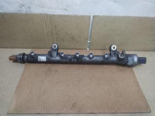 топливная рампа Volkswagen Golf Plus 2 поколение 2010, 1.6 л., TDi, CAY, дизель, АКПП, красный, хетчбэк 5 дв., передний привод, 03L130089H, 03L130764A, 03L130051