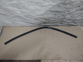 уплотнитель подкапотного пространства Audi A6 4F/C6 [рестайлинг] 2009, 2.7 л., TDi, CAN, дизель, МКПП, серебро, универсал, передний привод, 4F0823723