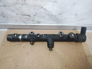 топливная рампа Audi A6 4F/C6 2005, 3.0 л., TDi, BMK, дизель, АКПП, синий, седан, полный привод, 057130764B, 059130090J, 0281002665