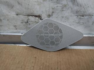 сетка на динамик Audi A6 Allroad Quattro C6 [рестайлинг] 2009, 3.0 л., TDi, CDY, дизель, АКПП, синий, универсал, полный привод, 4F9035410