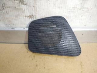 сетка на динамик Audi Q7 4L 2007, 3.0 л., TDi, BUG, дизель, АКПП, черный, внедорожник 5 дв., полный привод