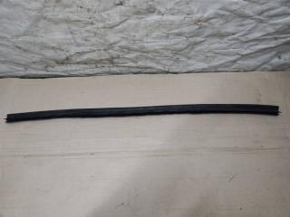 уплотнитель подкапотного пространства Audi Q5 8R 2011, 3.0 л., TDi, CCW, дизель, АКПП, серый, внедорожник 5 дв., полный привод, 8R0823723B