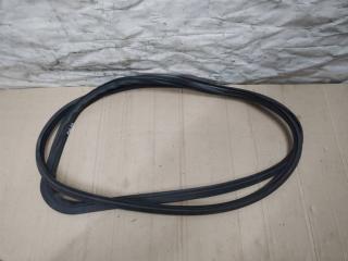 уплотнитель двери Jaguar S-Type 1 поколение [рестайлинг] 2005, 2.7 л., TDi, дизель, АКПП, седан