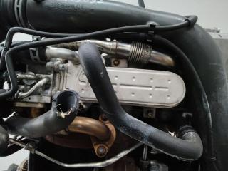 охладитель EGR / Радиатор EGR Volkswagen Touran 1 поколение [рестайлинг] 2008, 1.9 л., BKC, дизель, 038131513