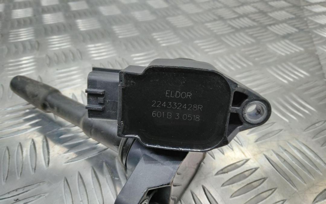 катушка зажигания Renault Kadjar 1 поколение 2017, 1.2 л., бензин, МКПП, 224332428R - фото №1