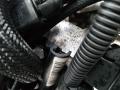 двигатель BMW X1 F48 2015, 2.0 л., B47 C20 B, дизель, B47C20B - фото №2