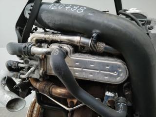 охладитель EGR / Радиатор EGR Volkswagen Passat B6 2005, 1.9 л., BKC, дизель, робот, 038131513AD