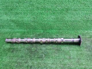 Распредвал выпускной Hyundai H-1 II (2007—2015) 2010, 242004A500