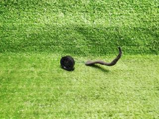 динамик Land Rover Range Rover Sport I (2005—2009) 2008, XQN500020