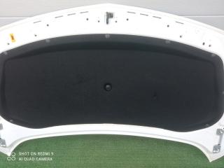 шумоизоляция капота Opel Astra GTC J (2009—2012) 2013, 1.6T A16LET, 13345406