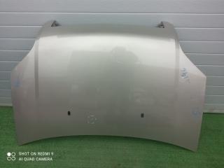 капот Ford Fusion I рестайлинг (2005—2012) 2008, 1.6i FYJA, 1532551