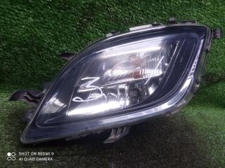 фара противотуманная левая Opel Astra J (2009—2012) 2011, Название двигателя 1.6i A16XER, 13293622