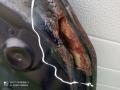 капот Opel Corsa D (2006—2010) 2009, 1.4i Z14XEP, 93189647 - фото №5