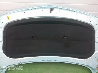 шумоизоляция капота Opel Astra J (2009—2012) 2011, 1.6i A16XER, 13272647