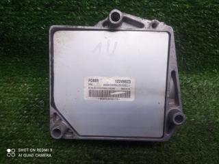 блок управления двигателем Opel Meriva A рестайлинг (2006—2010) 2009, 1.6i Z16XEP, 12249823